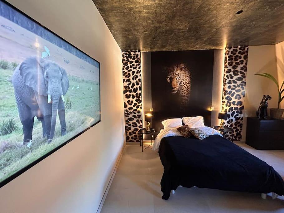 Esprit Africa, Spa Et Sauna De Luxe ミュルーズ エクステリア 写真